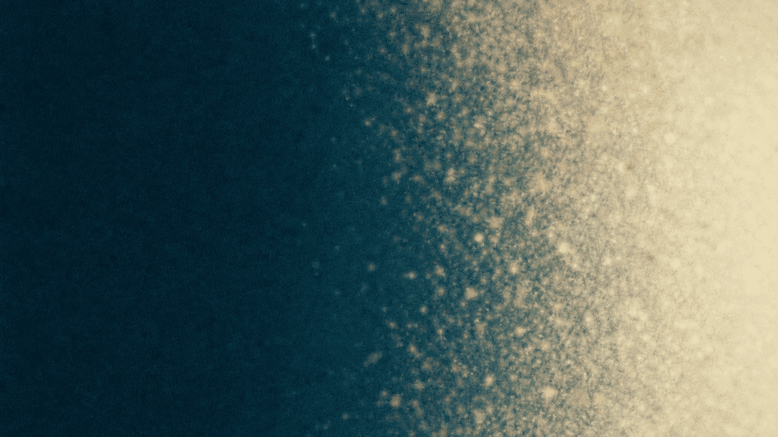 Abstract soft-focus colour field: the left half a dense solid block of deep graphite teal holding a clean defined edge, the right half the same colour losing cohesion and breaking into hundreds of scattered drifting flecks of pale saffron and warm bone white that thin out and dissolve completely at the edge of the frame